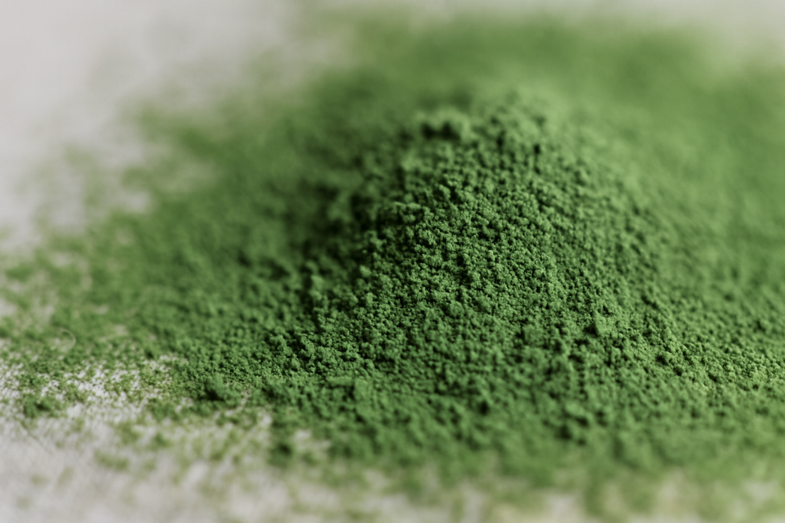 「加工用抹茶」「粉末茶」とは？抹茶の定義と原材料表示の読み方